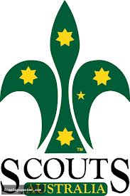 Scout